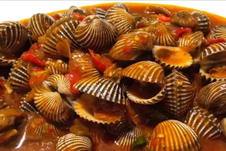 Kerang Dara Saos Padang